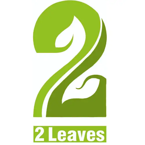 Two Leaves Studio